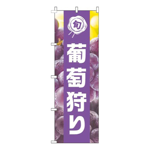 葡萄狩り写真紫帯
