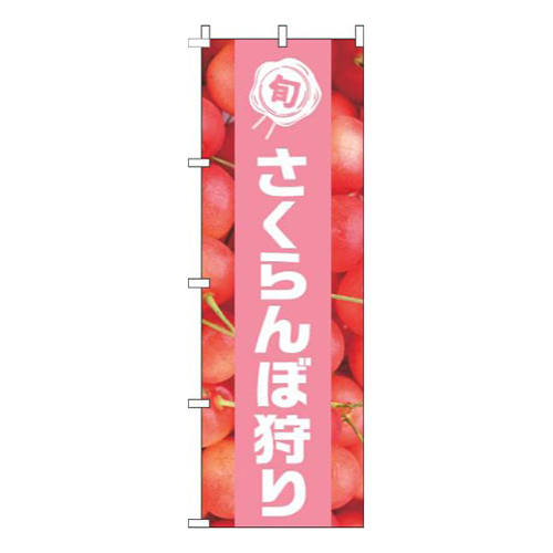 さくらんぼ狩り写真ピンク帯