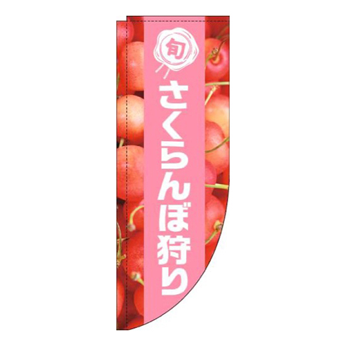 さくらんぼ狩り写真ピンク帯Rのぼり(棒袋仕様)