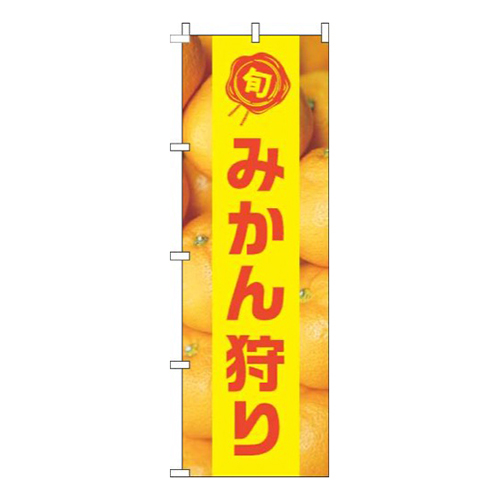 みかん狩り写真黄色帯