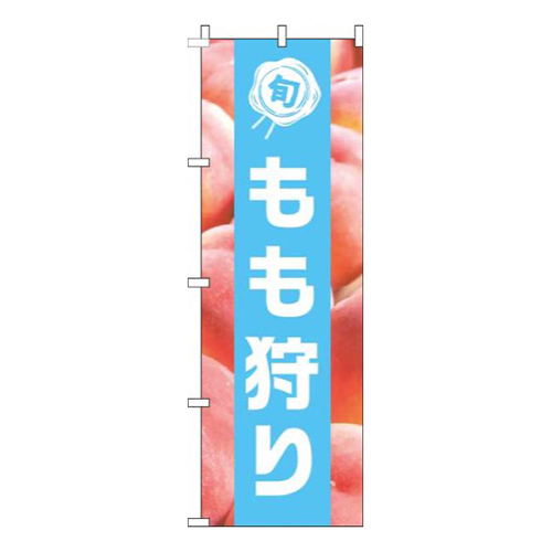 もも狩り写真水色帯