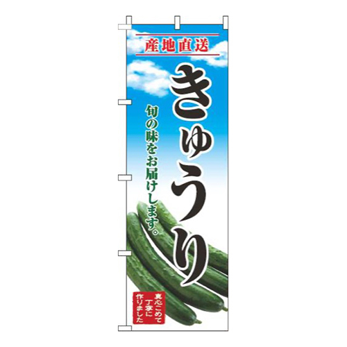 きゅうり青空明