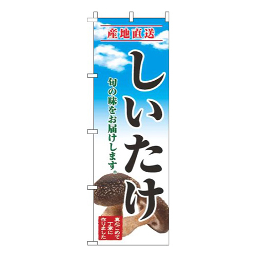 しいたけ青空明
