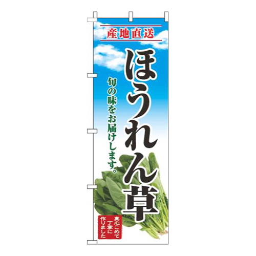 ほうれん草青空明