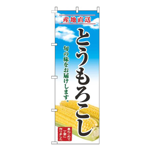 とうもろこし青空明