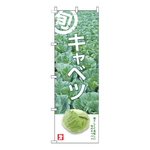 キャベツ旬写真