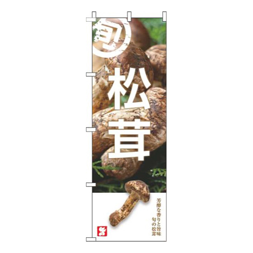 松茸旬写真