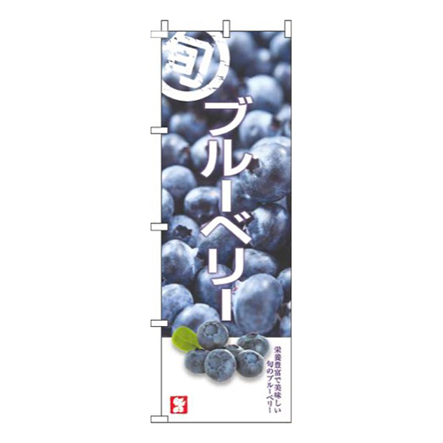 ブルーベリー旬写真
