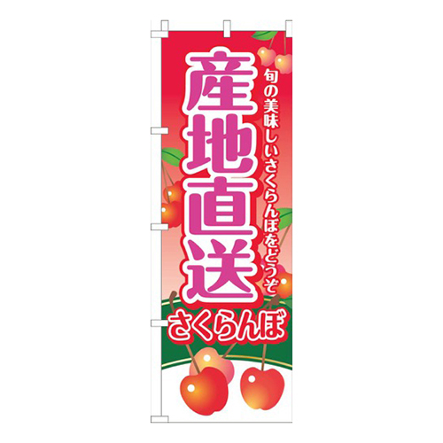 産地直送さくらんぼ赤グラデーション
