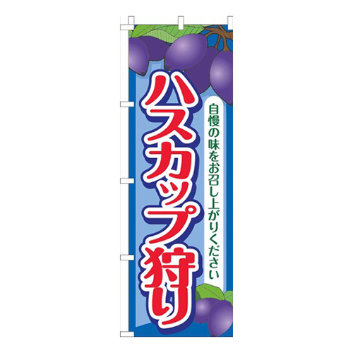 ハスカップ狩り青