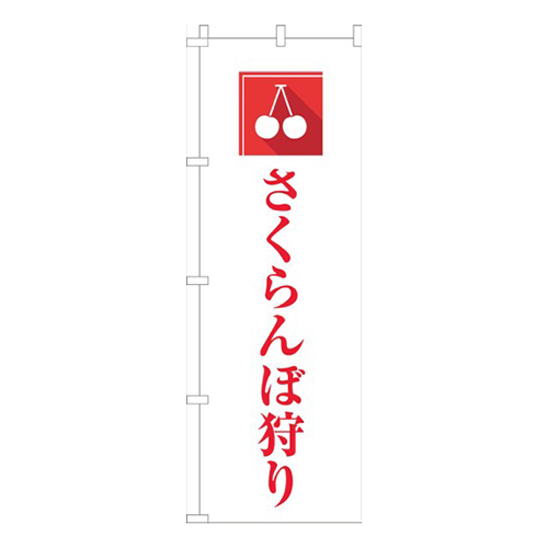 さくらんぼ狩り文字赤