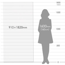 養生プラダンシート （三六判・半透明・2.5mm）※日時指定不可・1階での受渡し限定