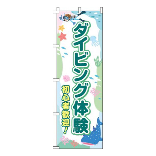 ダイビング体験緑青