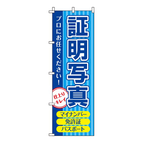 証明写真 青  