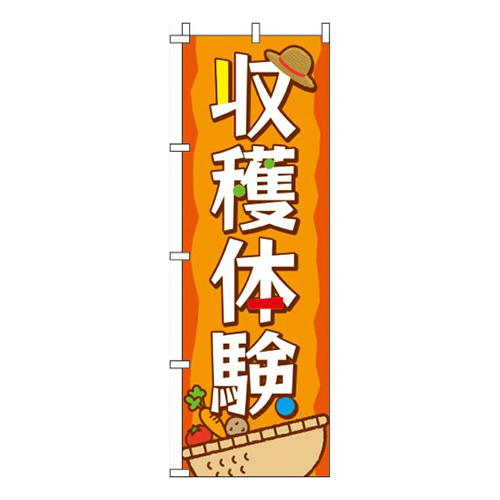 収穫体験オレンジ