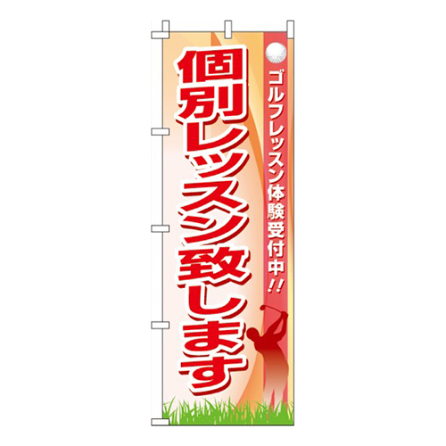 個別レッスン致します