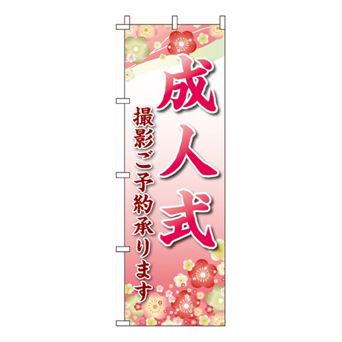 成人式撮影承ります