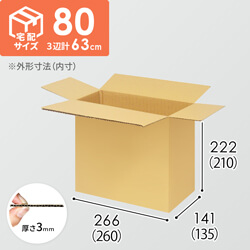 【宅配80サイズ】小箱ぴったり梱包用ダンボール箱［SBOX-01・2箱］（260×135×210mm）3mm B/F C5×C5