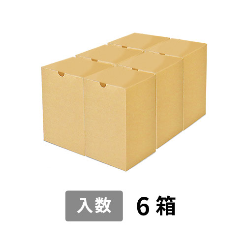【宅配100サイズ】小箱ぴったり梱包用ダンボール箱［SBOX-01・6箱］（385×260×210mm）3mm B/F C5×C5