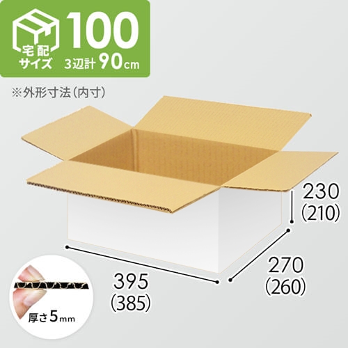 【宅配100サイズ】小箱ぴったり梱包用ダンボール箱［SBOX-01・6箱］（385×260×210mm）5mm A/F 白C5×C5