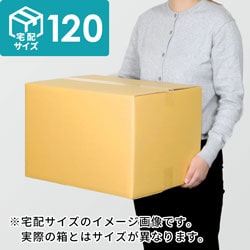 【宅配120サイズ】小箱ぴったり梱包用ダンボール箱［SBOX-01・8箱］（510×260×210mm）3mm B/F C5×C5