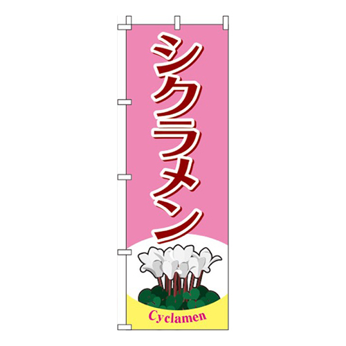 シクラメン ピンク 