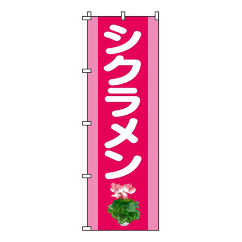 シクラメン