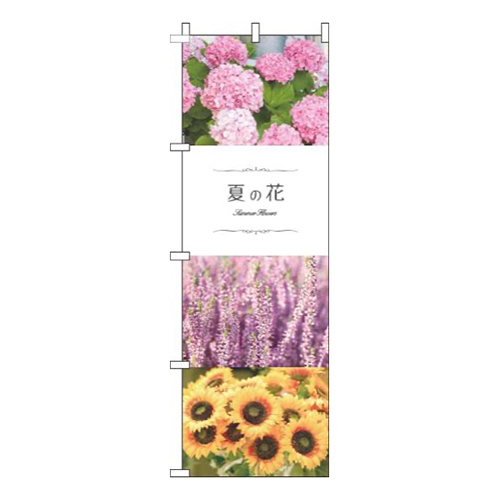 夏の花 写真 