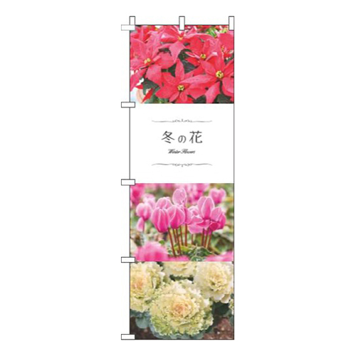 冬の花 写真 