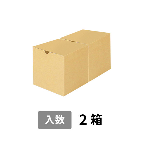 【宅配80サイズ】小箱ぴったり梱包用ダンボール箱［SBOX-02・2箱］（310×160×160mm）3mm B/F C5×C5