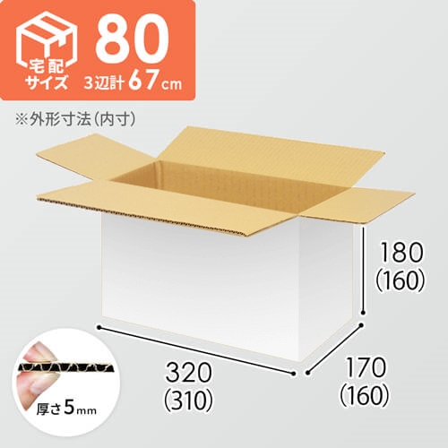 【宅配80サイズ】小箱ぴったり梱包用ダンボール箱［SBOX-02・2箱］（310×160×160mm）5mm A/F 白C5×C5