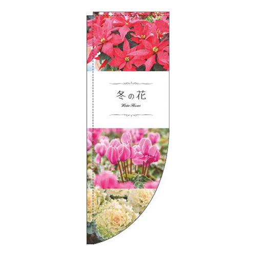 冬の花 写真 Rのぼり (棒袋仕様) 