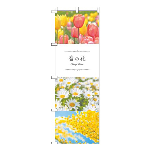 春の花写真