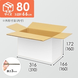 【宅配80サイズ】小箱ぴったり梱包用ダンボール箱［SBOX-02・2箱］（310×160×160mm）3mm B/F 白C5×C5