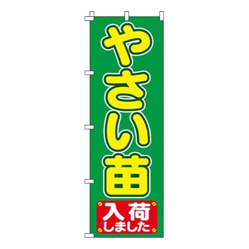 やさい苗入荷