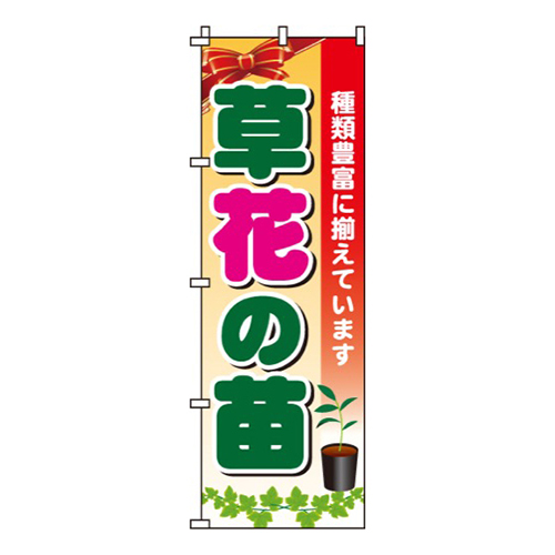 草花の苗