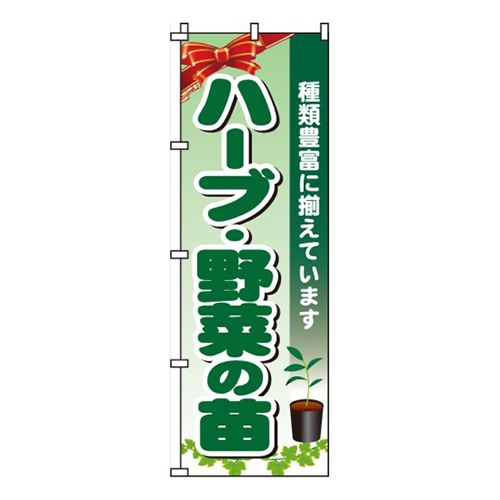 ハーブ・野菜の苗