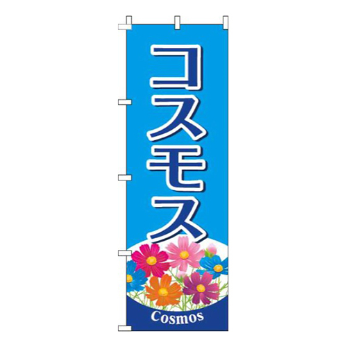 コスモス水色