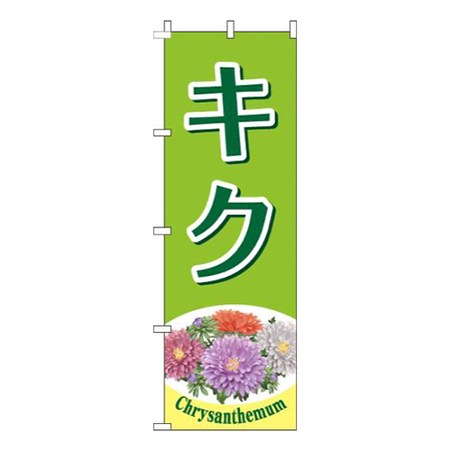 キク黄緑