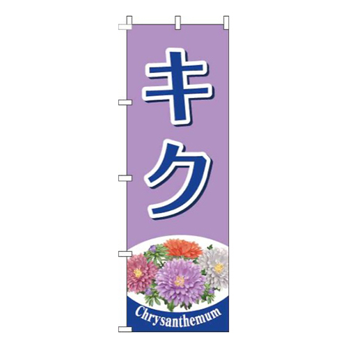 キク紫