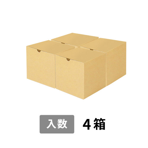 【宅配100サイズ】小箱ぴったり梱包用ダンボール箱［SBOX-02・4箱］（310×310×160mm）3mm B/F C5×C5