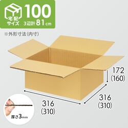 【宅配100サイズ】小箱ぴったり梱包用ダンボール箱［SBOX-02・4箱］（310×310×160mm）3mm B/F C5×C5