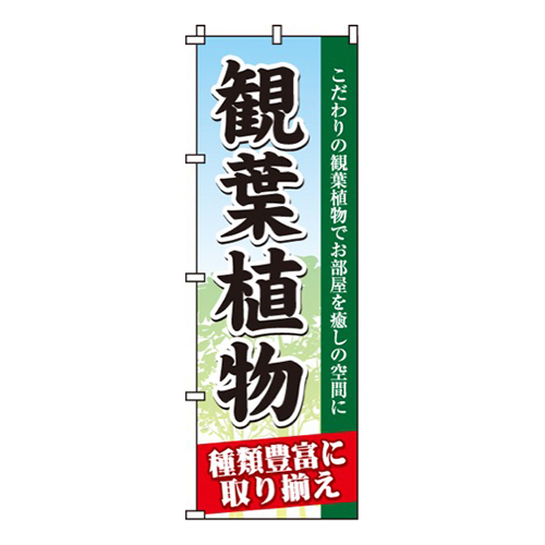観葉植物