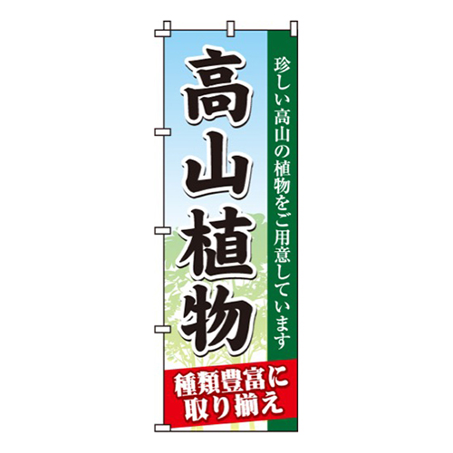 高山植物