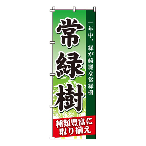 常緑樹