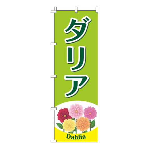 ダリア黄緑