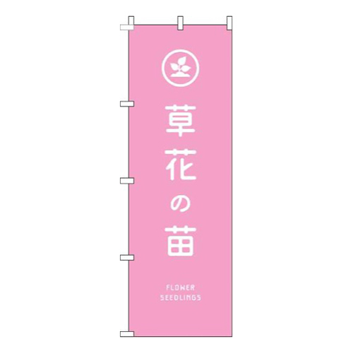草花の苗ピンク