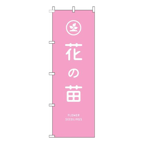 花の苗ピンク