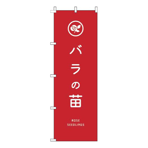 バラの苗赤
