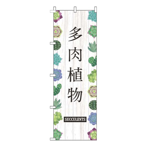 多肉植物白木目黒